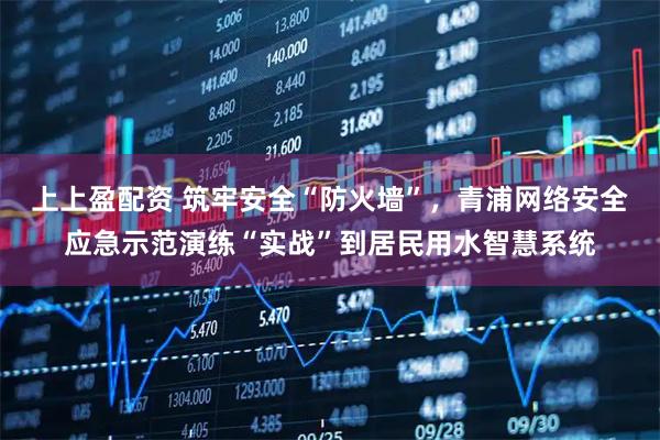 上上盈配资 筑牢安全“防火墙”，青浦网络安全应急示范演练“实战”到居民用水智慧系统