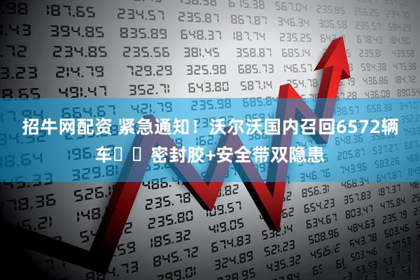 招牛网配资 紧急通知！沃尔沃国内召回6572辆车⚠️密封胶+安全带双隐患